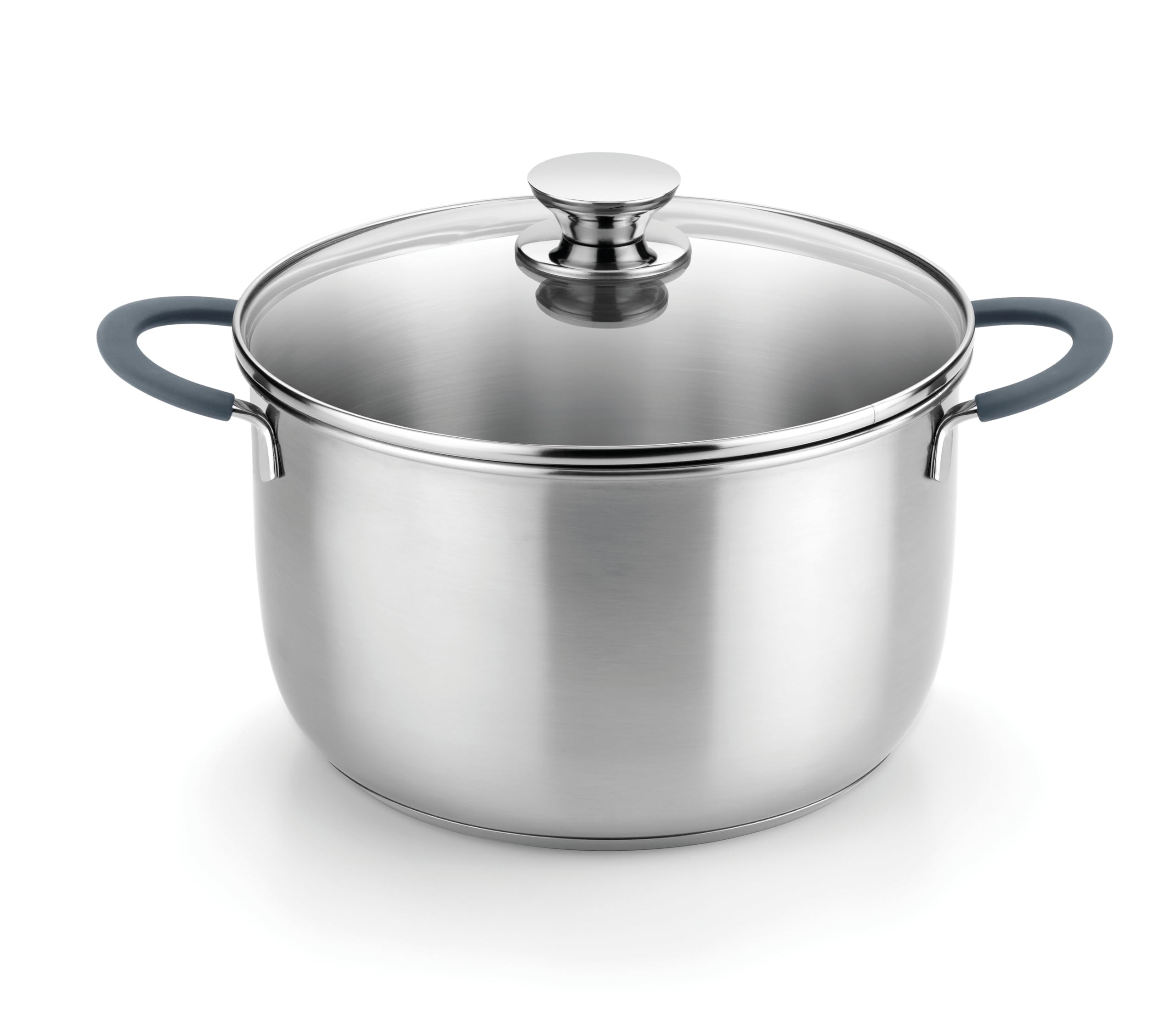 BRA Master | Olla 24 cm, Acero Inoxidable | Acero Inoxidable, Sin Antiadherente, Sin PFOA, Apta para todo tipo de Cocinas, Asas Acero Inoxidable recubiertas de Silicona