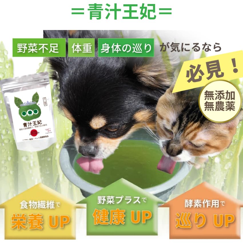 Amazon.co.jp: 犬・猫・ペット用 青汁 酵素 入り(青汁 王妃)腸