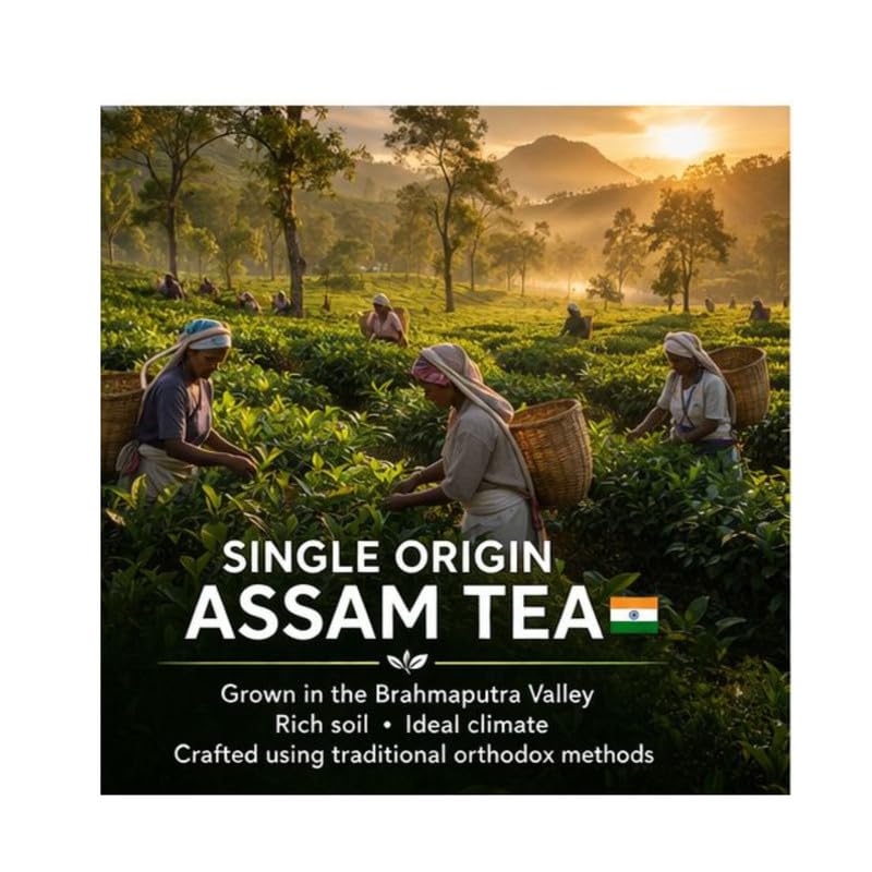 Image of Siyacha Tea 2026 Assam First Flush FBOP, 1Kg Pouch, Premium Single Estate Loose Leaf Black Tea, Fresh Harvest, Bold Taste & Rich Liquor