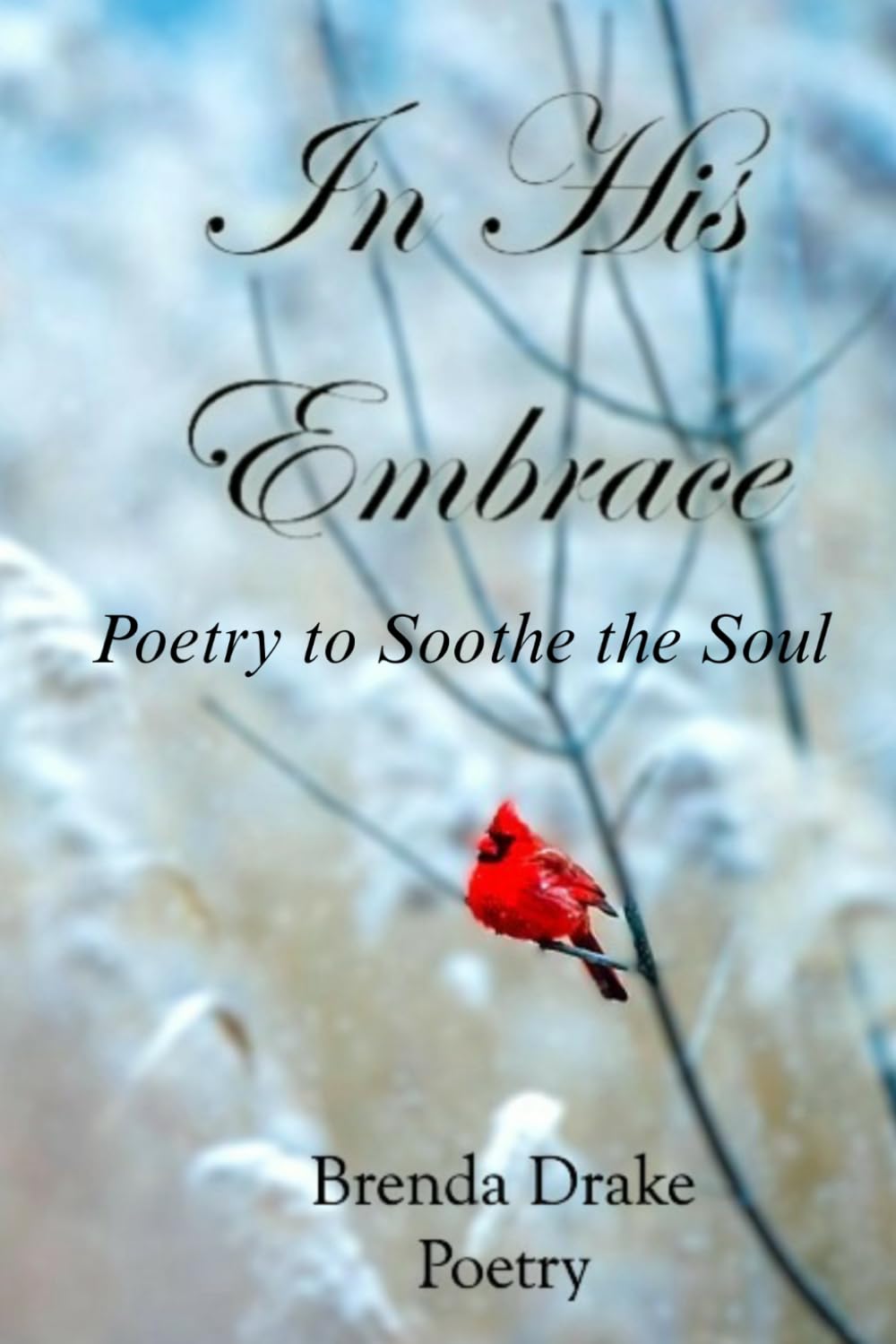 In His Embrace: Poetry to Soothe the Soul