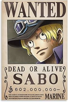 Amazon.co.jp: ワノ国 HD ワンピース サボ ウォンテッド 1 キャンバス