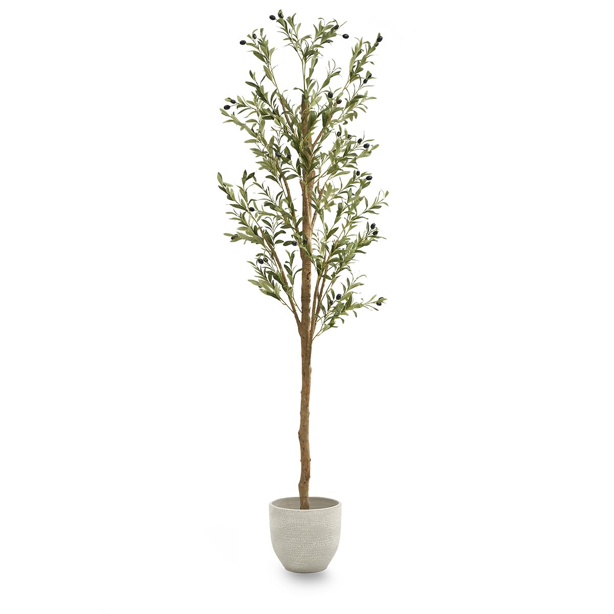 Maia