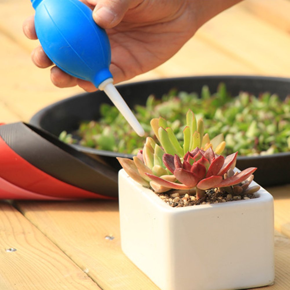 Colorful 1pcs Air Dust Blower Cleaner Camera Video Lens Sensor Cleaning VCR Watchmaker Repair Tool Succulent plants Watch