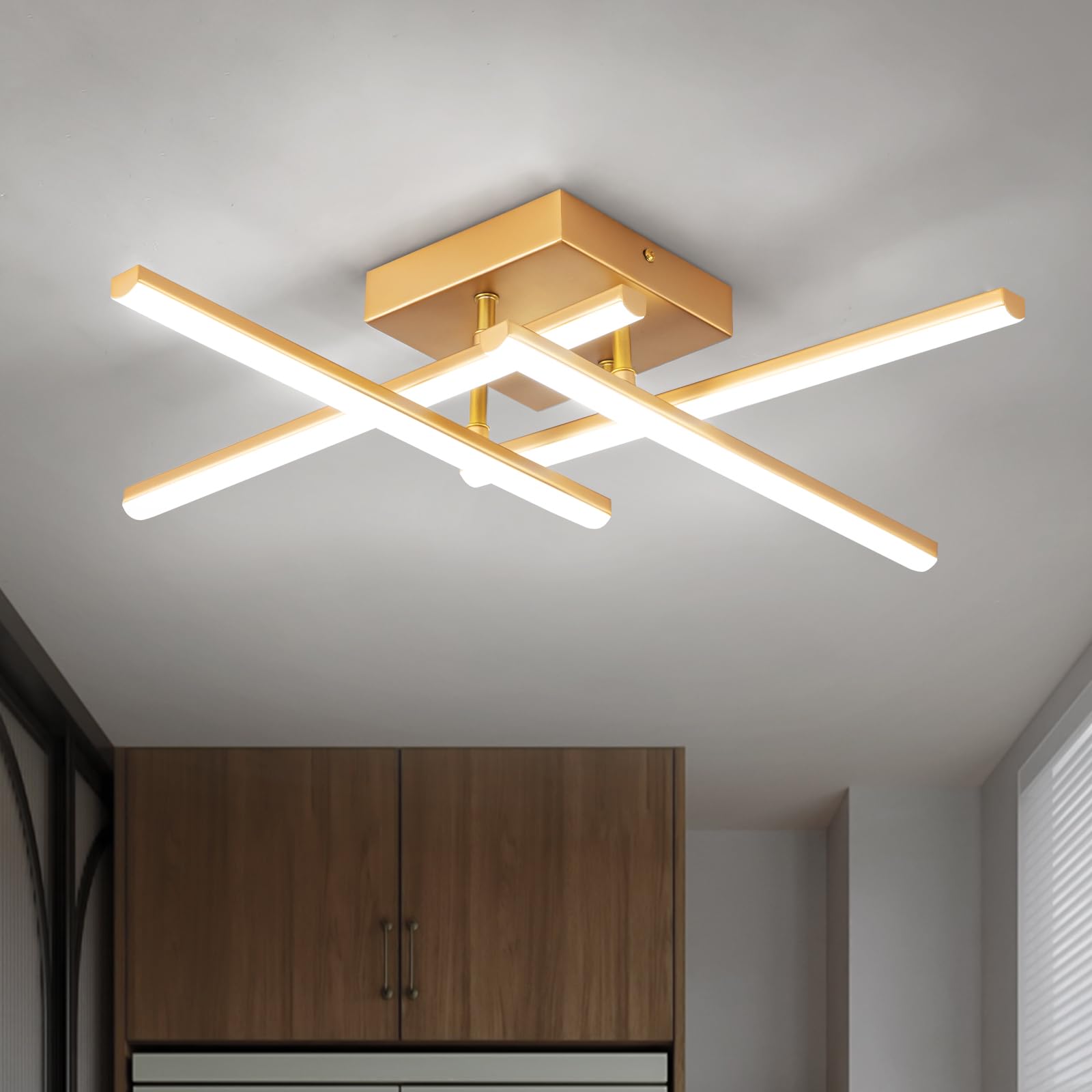 EIDISUNY Modern Ceiling Light LED, 24W Gold Ceiling lamp 4 Built-in LED Boards, 6500K Cool White Elegant Design Ceiling Light Fixture for Bedroom Hallway Living Room Dining Room Corridor Kitchen