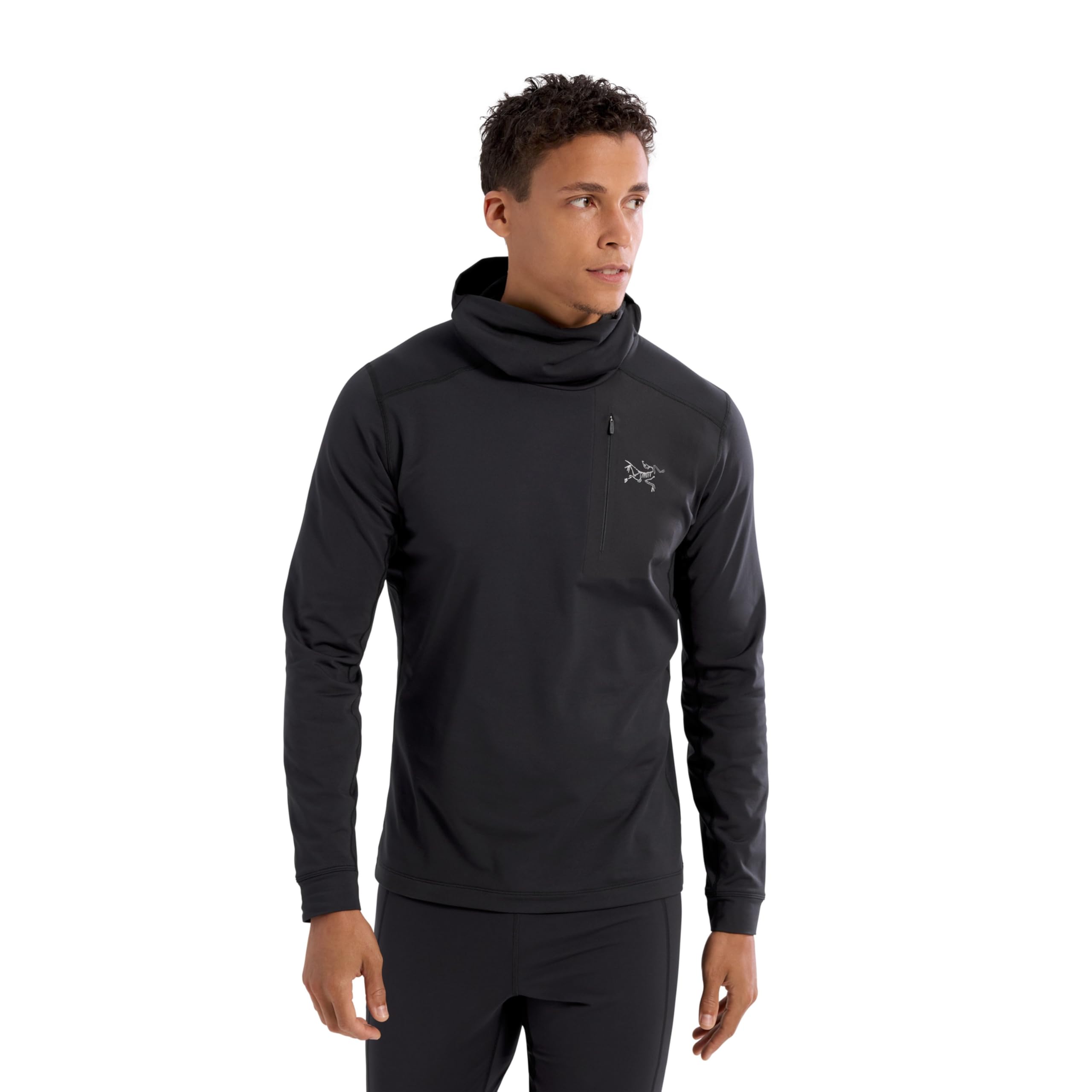 Amazon.co.jp: [アークテリクス] Rho LT Hoody Men's Lサイズ Black