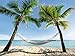 Produktbild Artland Qualitätsbilder I Wandbilder Selbstklebende Premium Wandfolie 120 x 90 cm Landschaften Amerika Karibik Foto Blau B6VD Urlaub Palmen Strand Hängematte