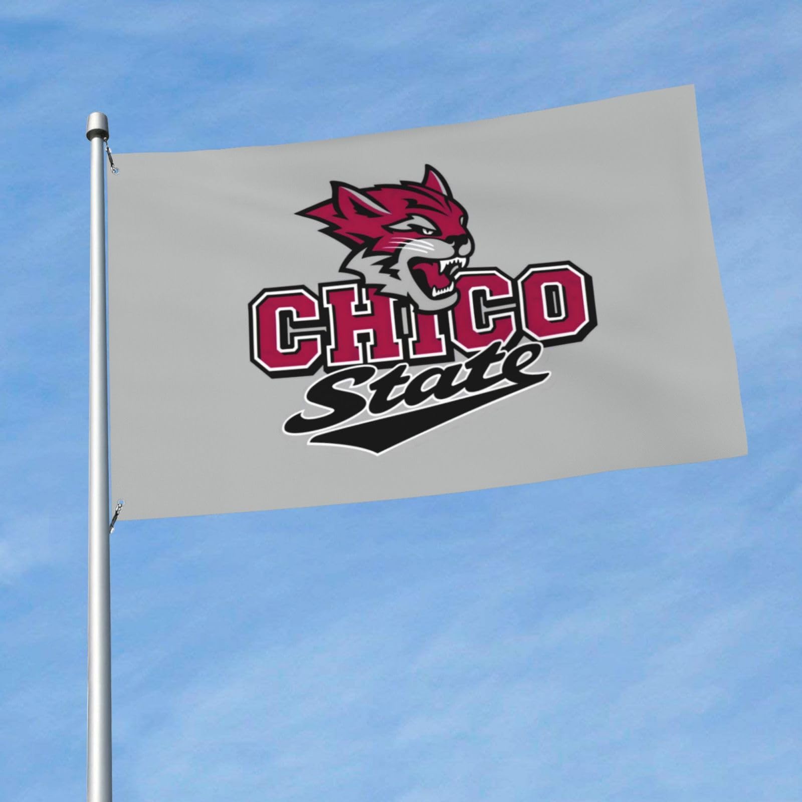 CSU Chico Wildcats Flag – 3x5 Feet Polyester College Flag, Indoor/Outdoor, New Branding Style - View #11