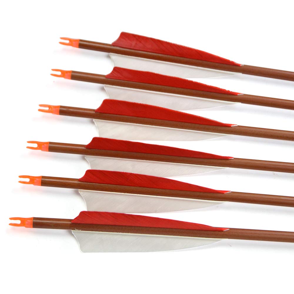 Frecce In Carbonio SHARROW Spine 500 - Con Piume Naturali Per Arco Ricurvo O Compound - Foto 4