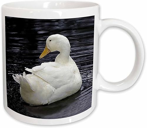 3dRose mug_4232_1 - Taza de cerámica de pato Pekin blanco, 11 onzas