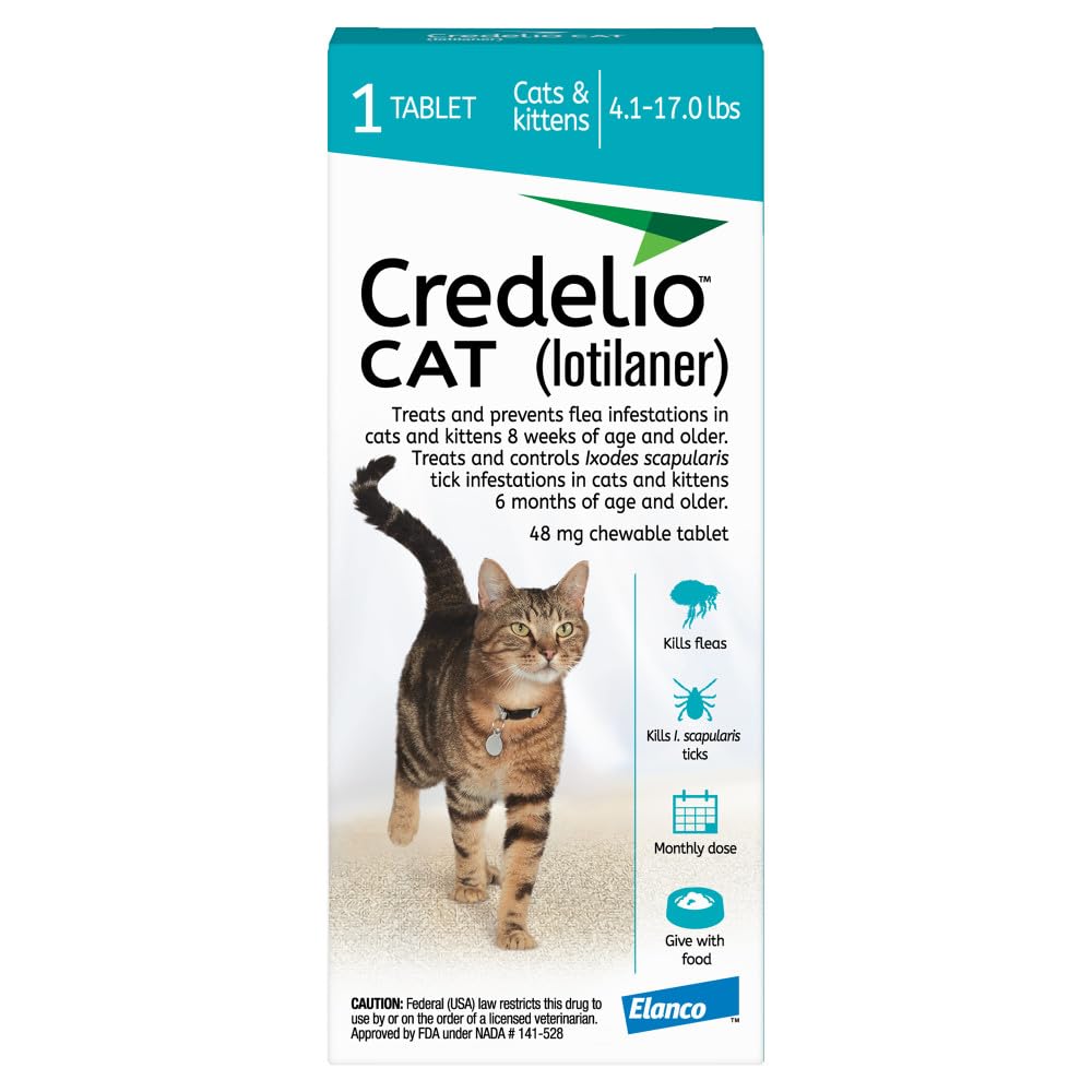 7 Best Flea Pills For Cats | Beyond The Topical Mess
