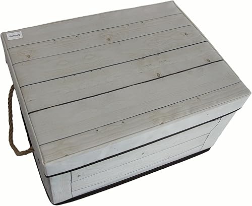 Livememory Cajas de almacenamiento decorativas con tapa y asas, caja de memoria de tela para almacenamiento decorativo. 15.7 pulgadas de largo x