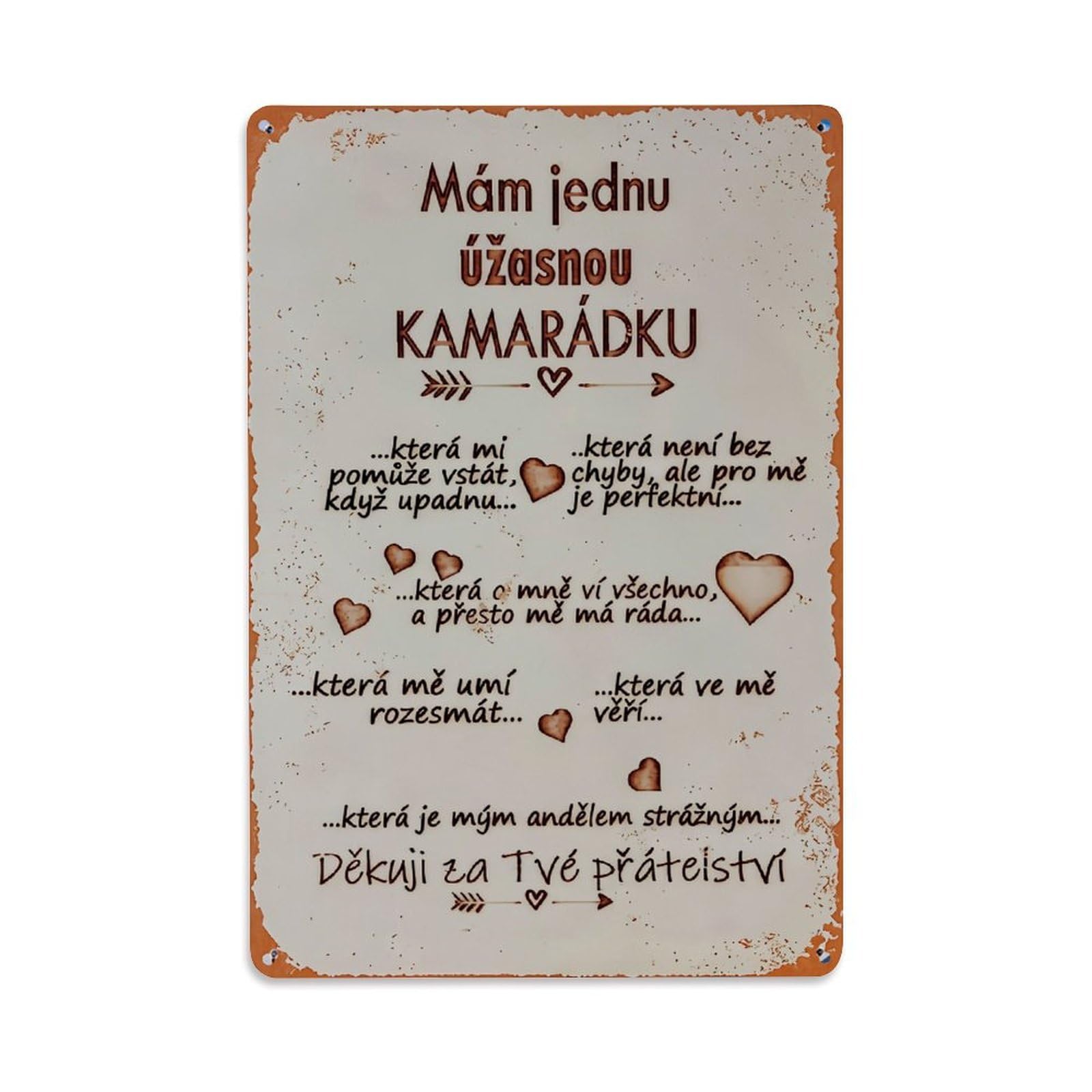Jdfenggu Vintage Czech Friendship Quote Poster Design Retro Metal Tin Sign, Metal Poster For Bar, Home, Man Cave, Kitchen, Laundry Room Art Decor 8X12 Inch