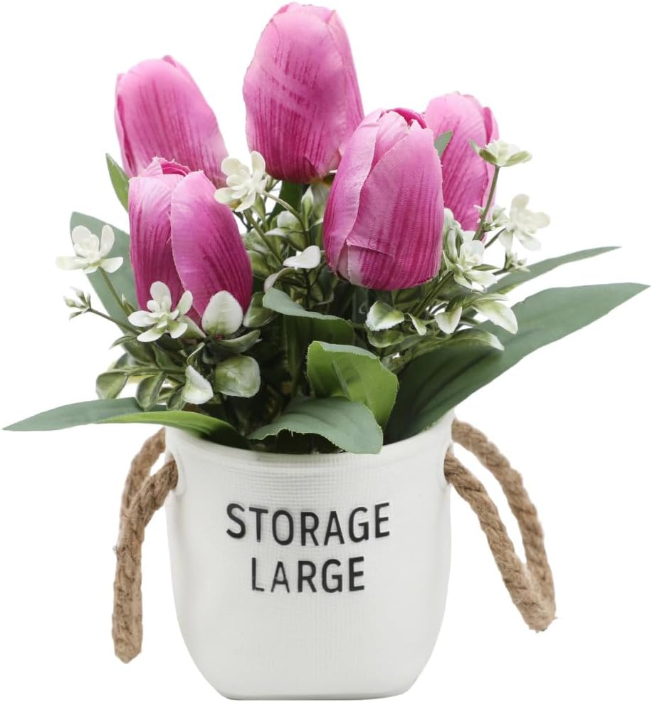 未使用】リチャードジノリ☆ローズブルー☆プレート リチャード