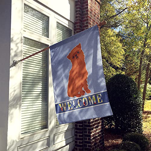 Drapeau Brussels Griffon Welcome CK3686CHF grand format en canevas