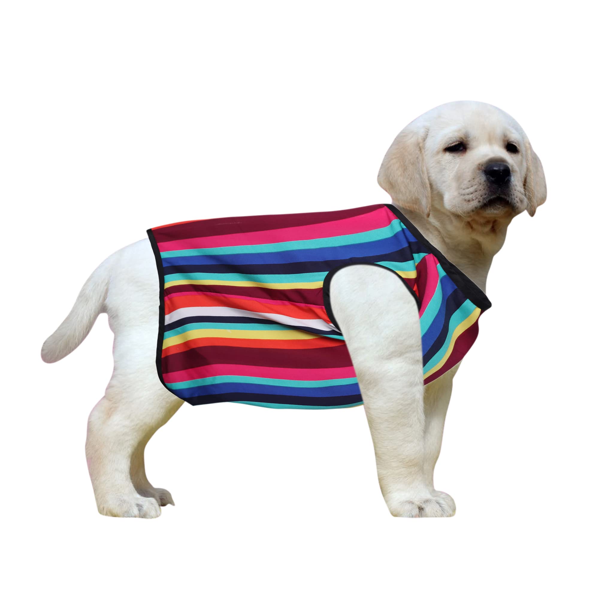 Western Era Funky Soft Cotton Dog T-Shirt, Comfortable Dog Clothing, Sleeveless Vest Puppy Outfit, Apparel (Color Strips) (XXSmall) (10 inches) (B09WQV54NR) Amazon Price History, Amazon Price Tracker