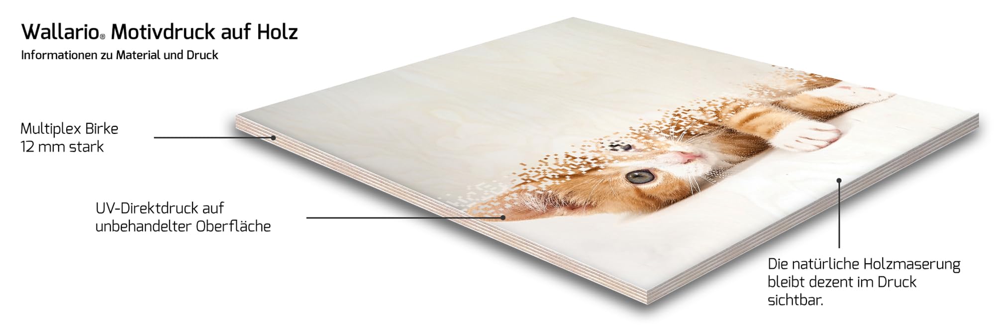 Wallario Wandbild aus Holz Paprika-Mix - frische Paprika in rot, gelb und grün im Wasser - 50 x 125 cm in Premium-Qualität: Brillante Farben