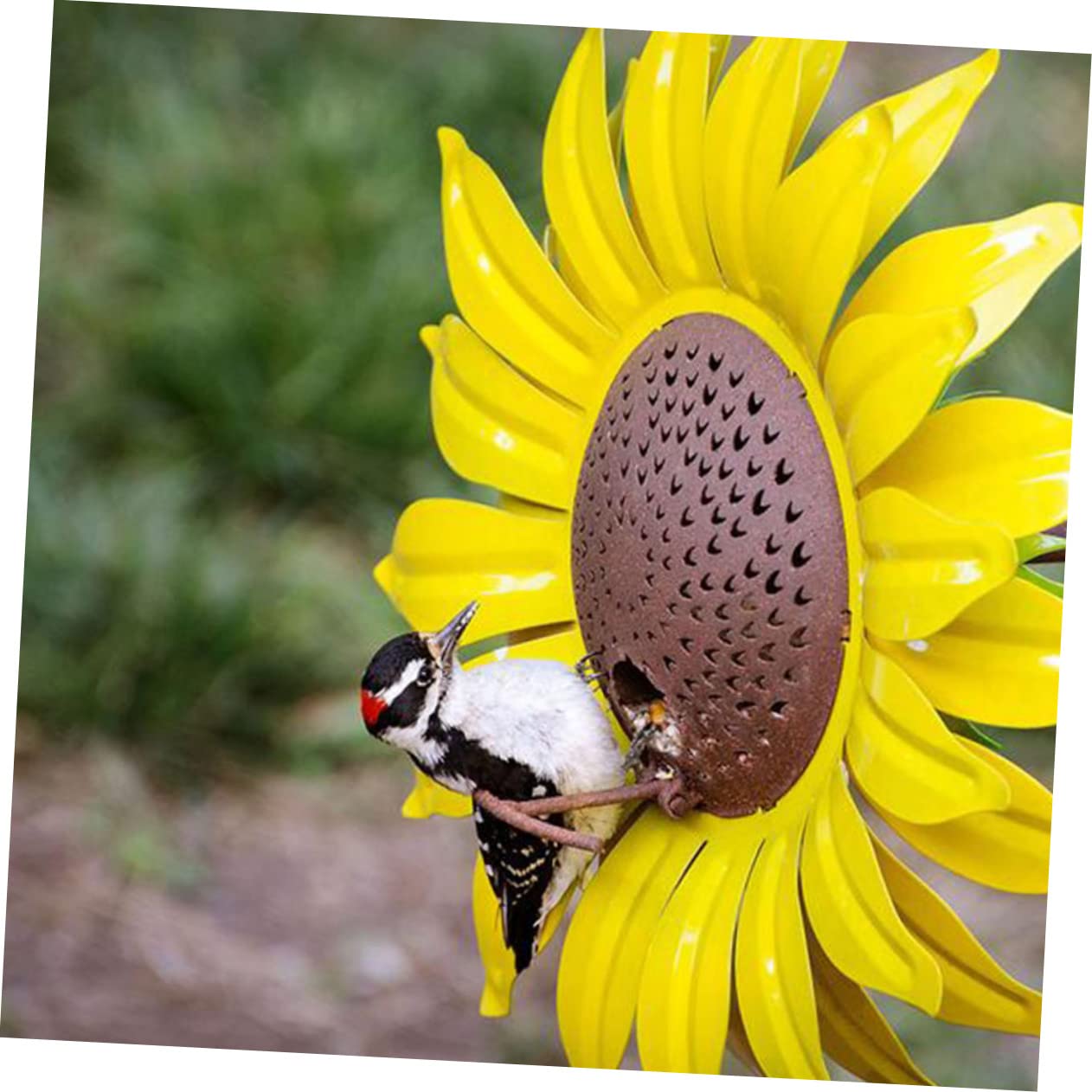 Yardwe 2 Stück Vogelfütterungswerkzeug Vogelhäuschen für Den Außenbereich Gartendekoration Sonnenblumen-Design und Stilvoll für Kanarienvögel Papageien Lerchen