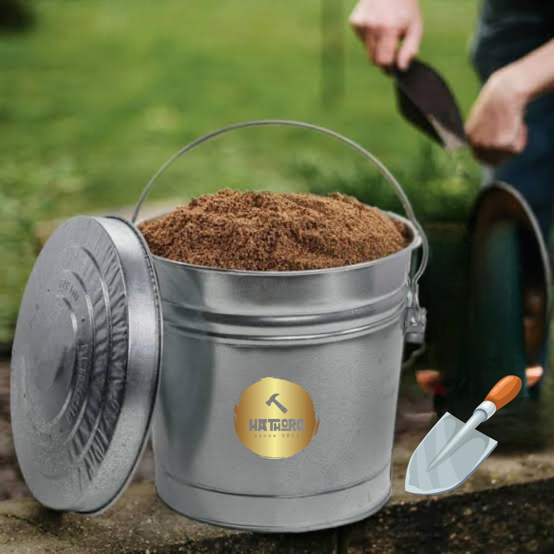 Galvanized Steel Trash Can with Galvanized Locking Lid, for Kitchen, Outdoor, Camping, Multipurpose (Galvanized Steel, 10 Gallon)