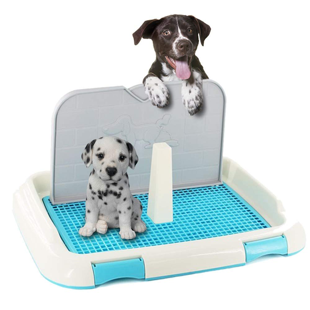 Buy Rubik Dog Puppy Pet Potty Training Grid with Wall Cover Dog Potty