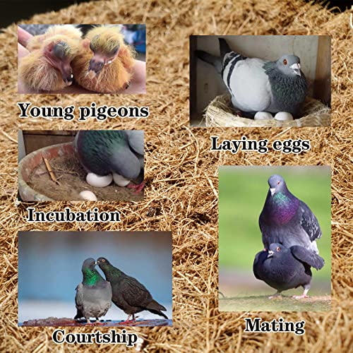 Image of BUAKAW-X Pigeon Nest Coconut Fiber Substrate 5pc Bird Nest Racing Pigeon Breeding Eggs Mat for Finch Chicken Bird Nesting Materials