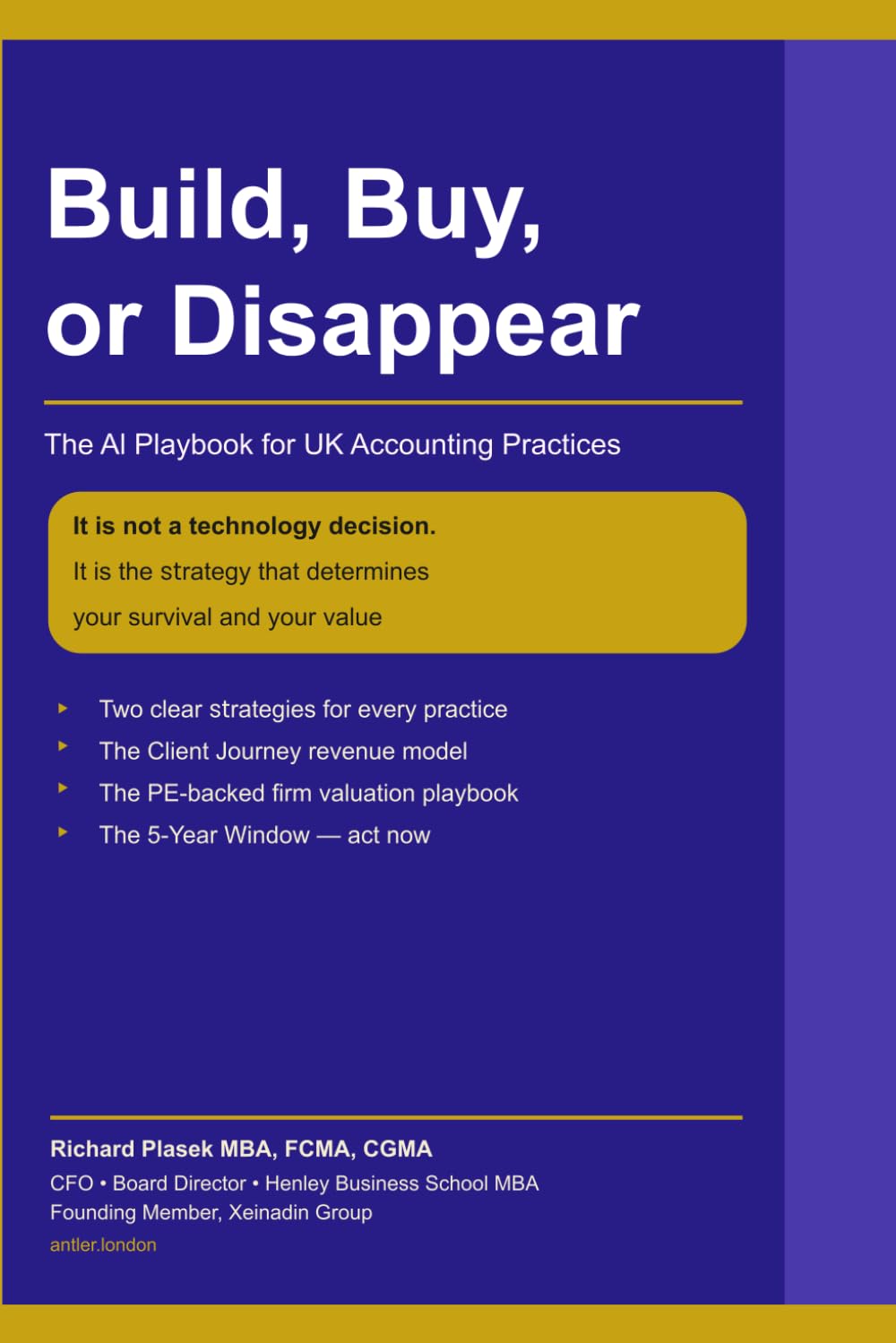 Build, Buy, or Disappear: The AI Playbook for UK Accounting Practices