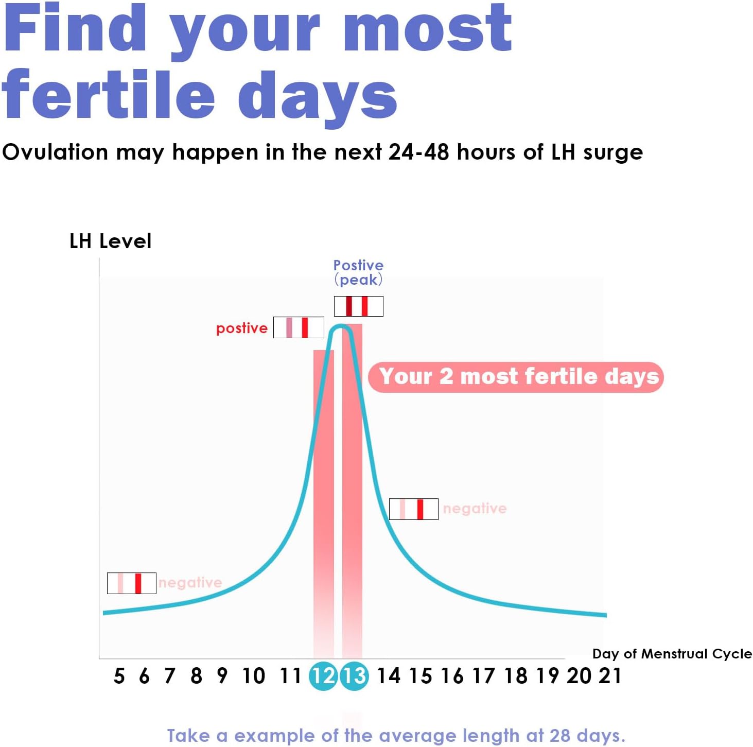 Most Fertile Days How Much Time Between Ovulation And Period 7+