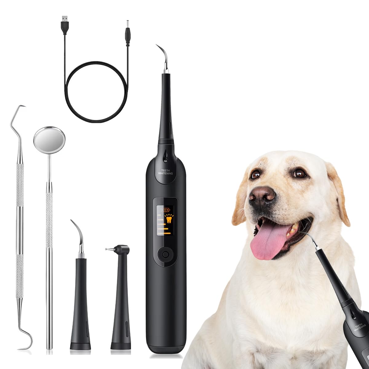 Kit de Limpieza de Dientes de Perro, Cepillo Dental para Mascotas, Cepillo de Dientes para Cuidado Dental para Perros y Gatos, IPX6, Cable Usb.