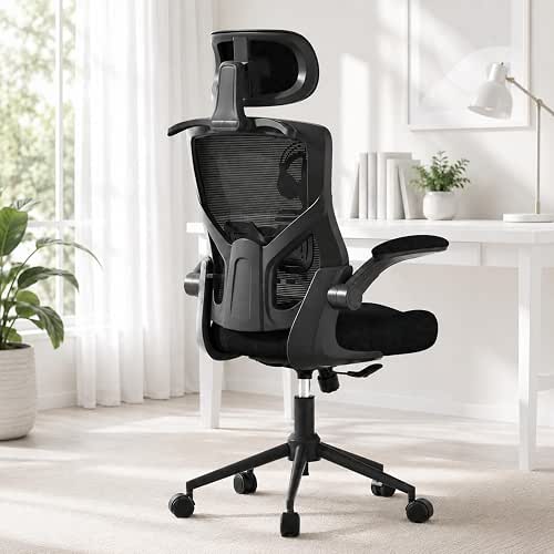 Office Chair for Long Hours & Lower Back Pain Relief