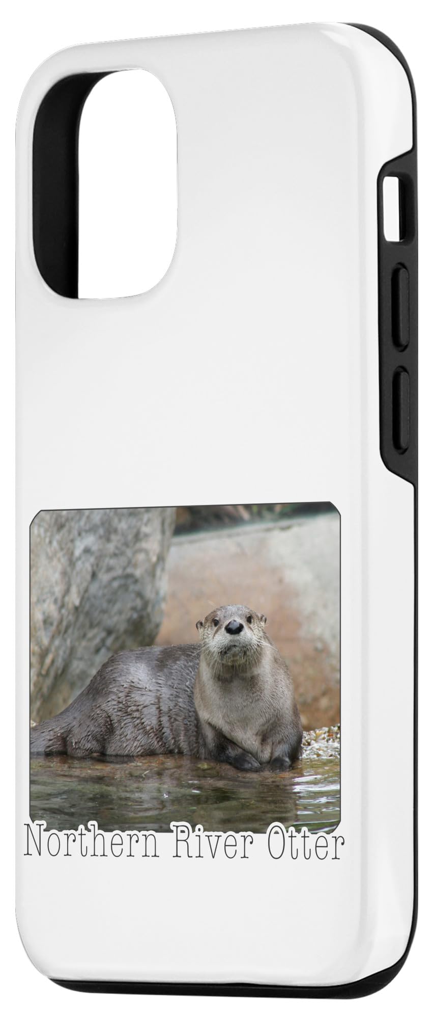 カワウソスマートフォン スマホリング かわいい アニマル 動物 カワウソ Z0513/SR 6157
