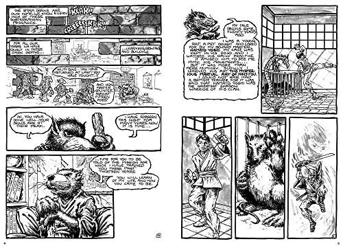 Image of Teenage Mutant Ninja Turtles Compendium, Vol. 1
