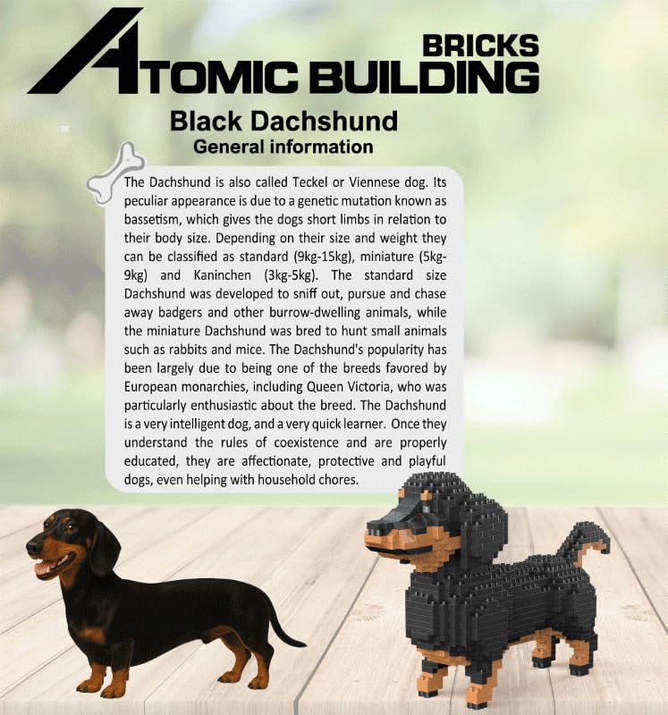 Atomic Building Miniatur-Bausatzfigur. Schwarzer Dackel, Modell 2.
