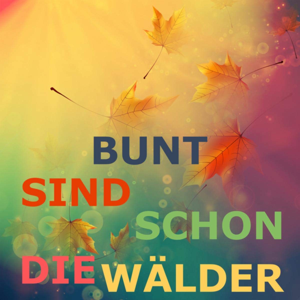Bunt sind schon die Wälder