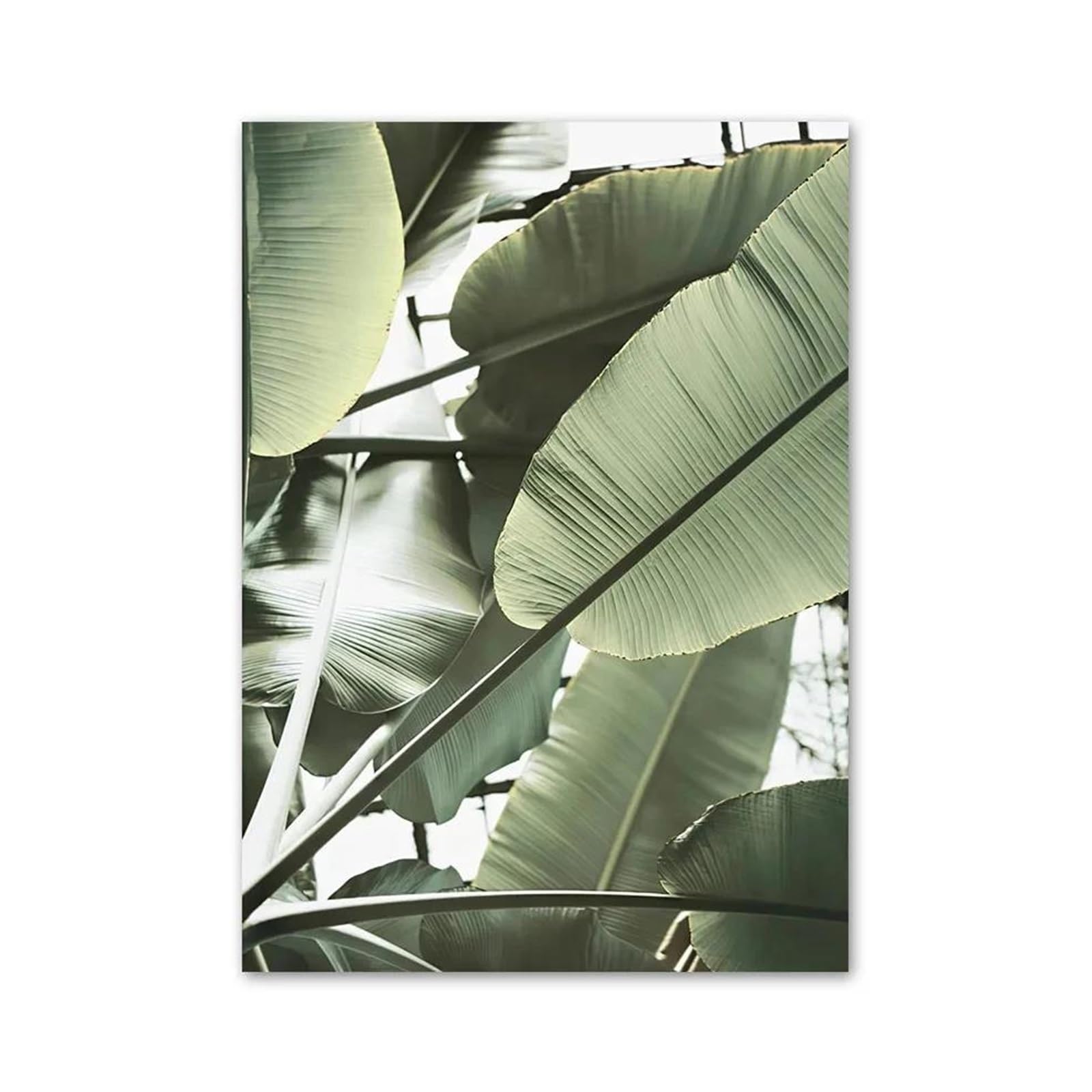 Simples décoration de maison avec tableau déco nature de feuilles vertes
