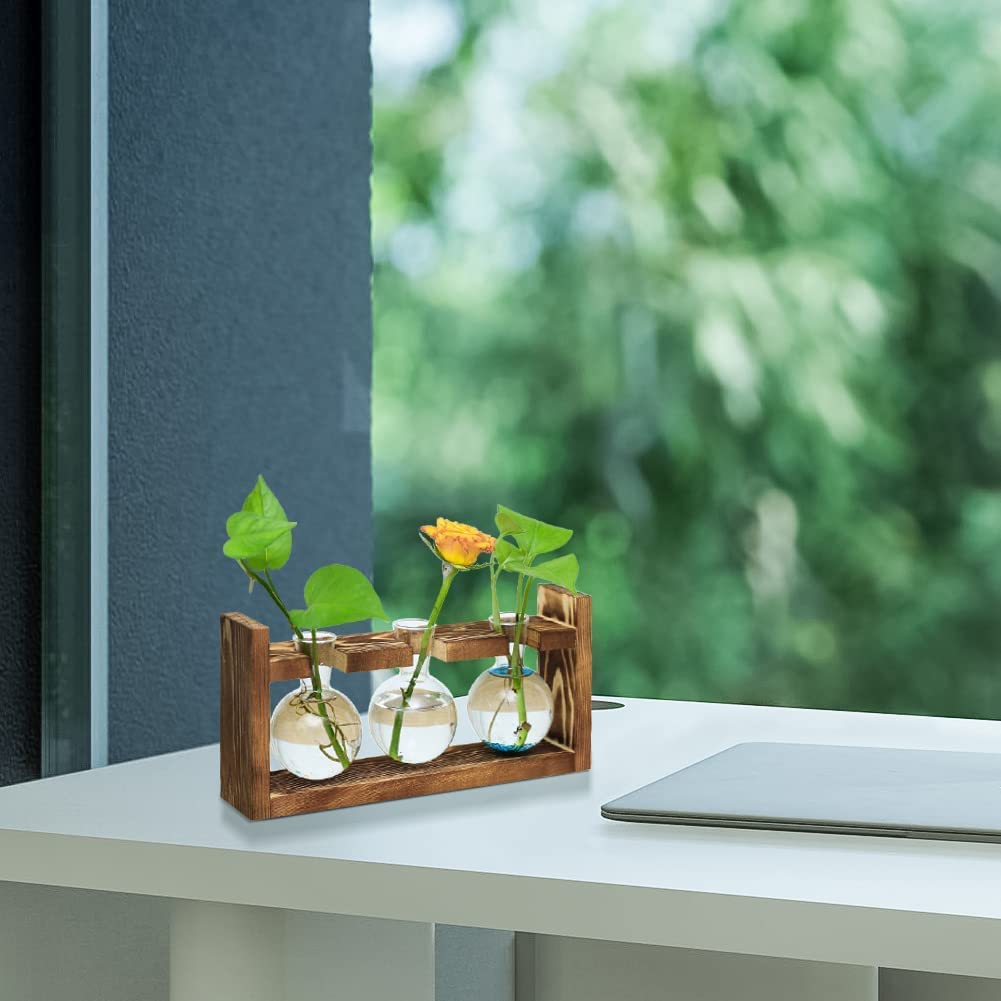 Ivolador Plants Terrarium Glass Bulb Terrarium with Retro Solid Wooden