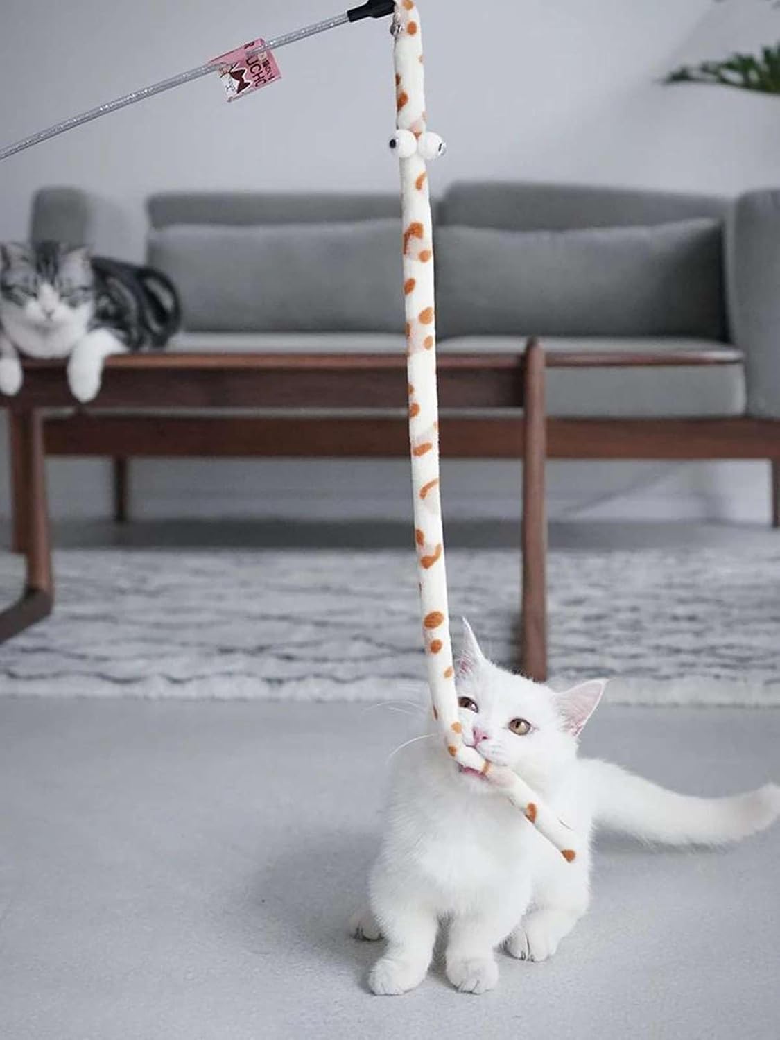 Cat Toy Feather Cat Teaser Wand Cat Interactive Toy Funny Caterpillar Colorful Rod Teaser Wand