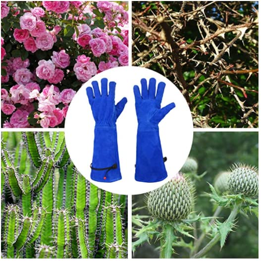 Kim Yuan Rose Pruning Gloves for Women Men Gardening Long Ladies Thorn Proof Garden Gloves (Large, Blue) - Image 2
