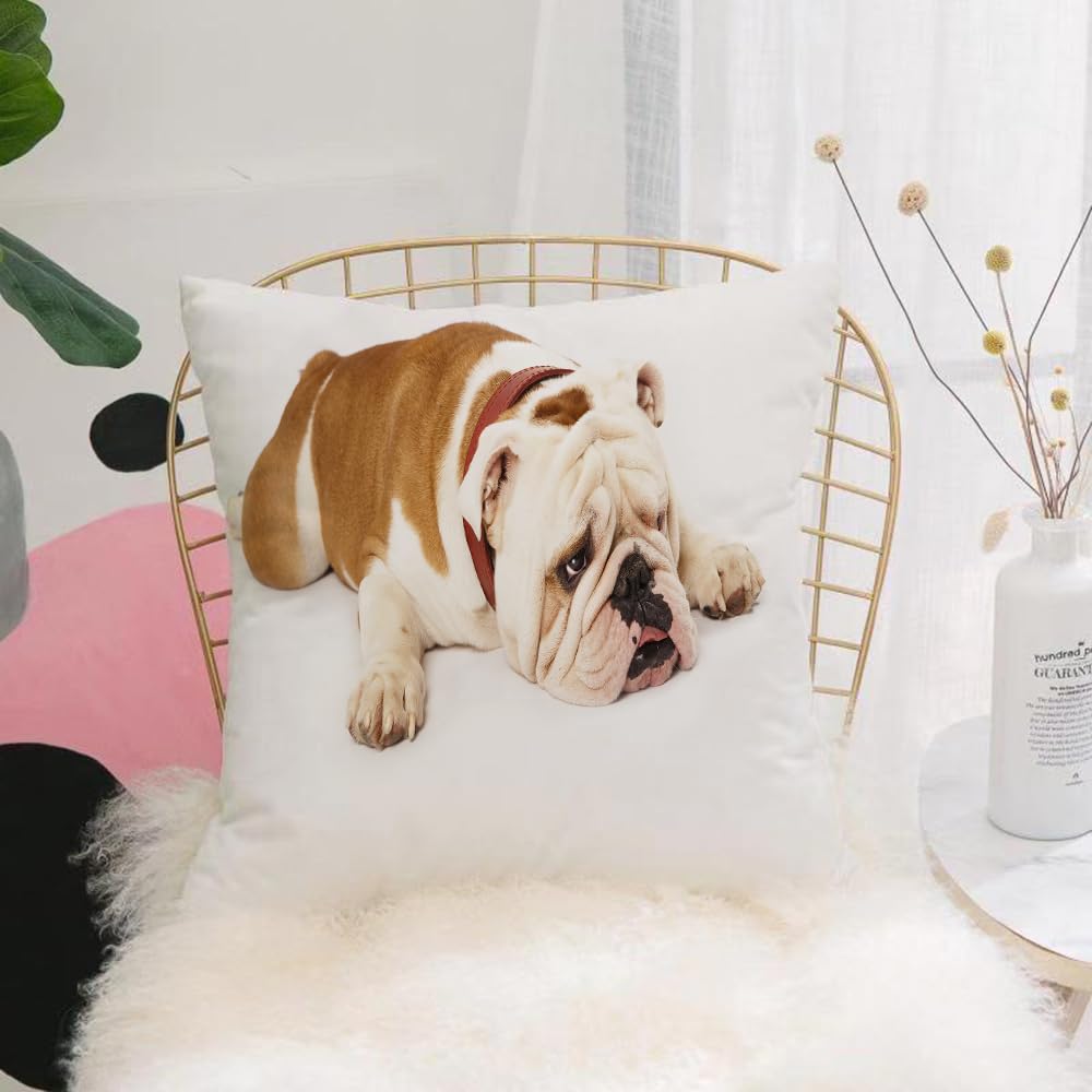 HYOSXW Cushion Cover,Throw Pillow Case Home Decorative for Living Room Bedroom Sofa Chair 16X16 Inch,Bulldog, close-up of brown and white lying down in a lazy posture,Pillowcase 40X40cm