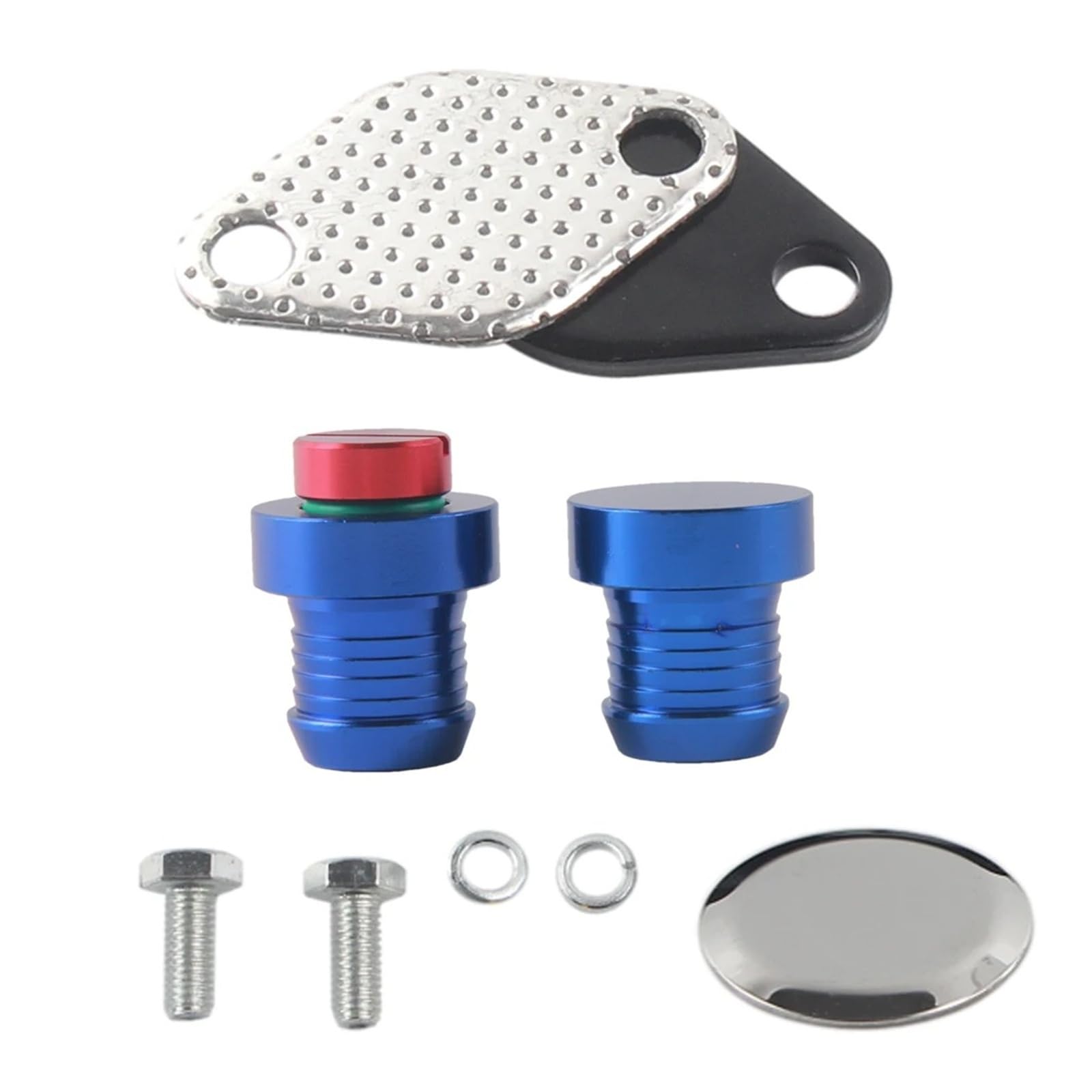 Sifusm Blue Egr Valve Recirculation Valves Valve Cooler Repair Replace Kit For Bmw M47n2 M57n2 E46 E90 E60 E61 E83(Blue)