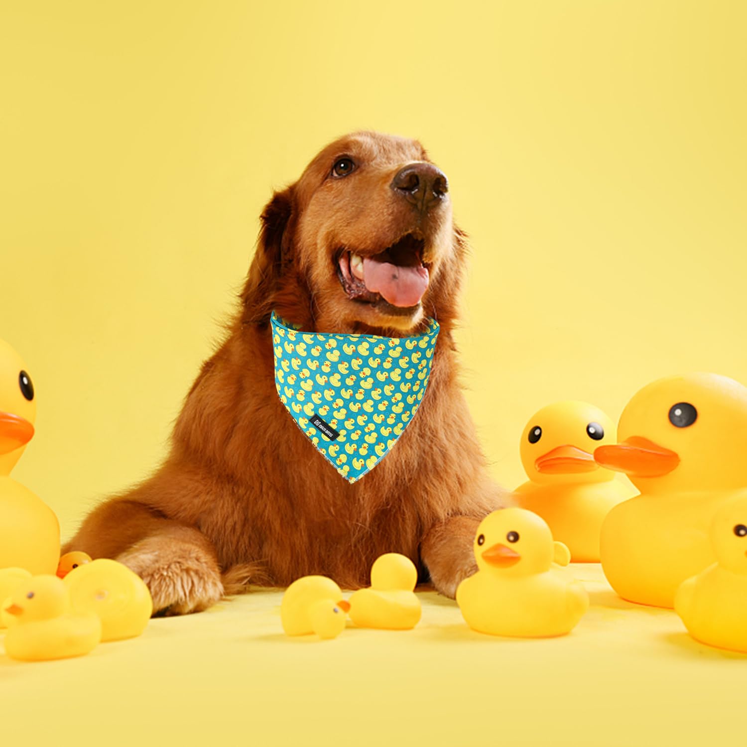 MACA Bates Hundehalstuch, niedliches Hunde-Halstuch, Dreieckstuch, weiche Baumwolle, verstellbar, Geschenk für kleine, mittelgroße und große Haustiere