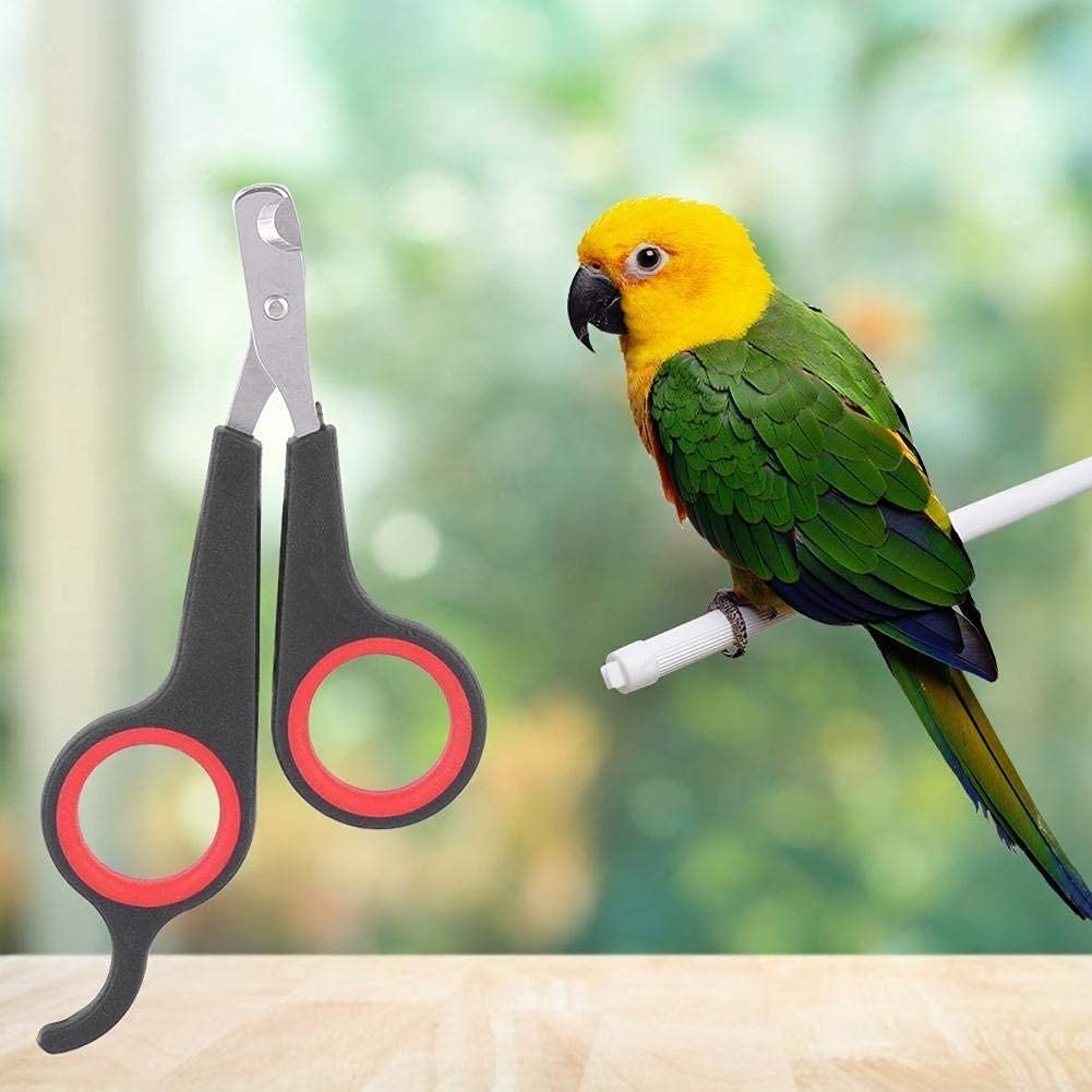 Ciseaux à Ongles pour Animaux de Compagnie Chien Chat Coupe-Ongles Oiseau Perroquet Griffe Tondeuse Professionnel Petits Animaux Outil de toilettage des onglesUtile et Attrayant.