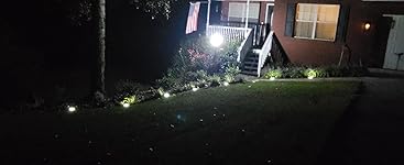 Review Image by Tess Tess