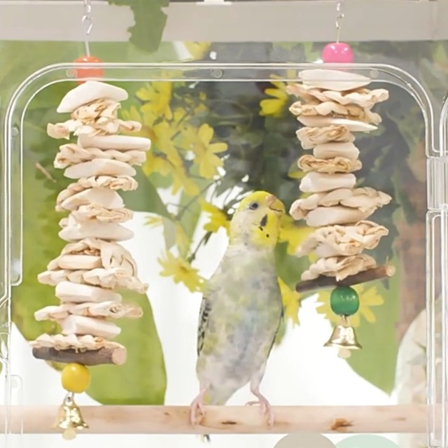 Amazon | インコ おもちゃ 天然草 カトルボーン 鳥 おもちゃ 鈴 りんご