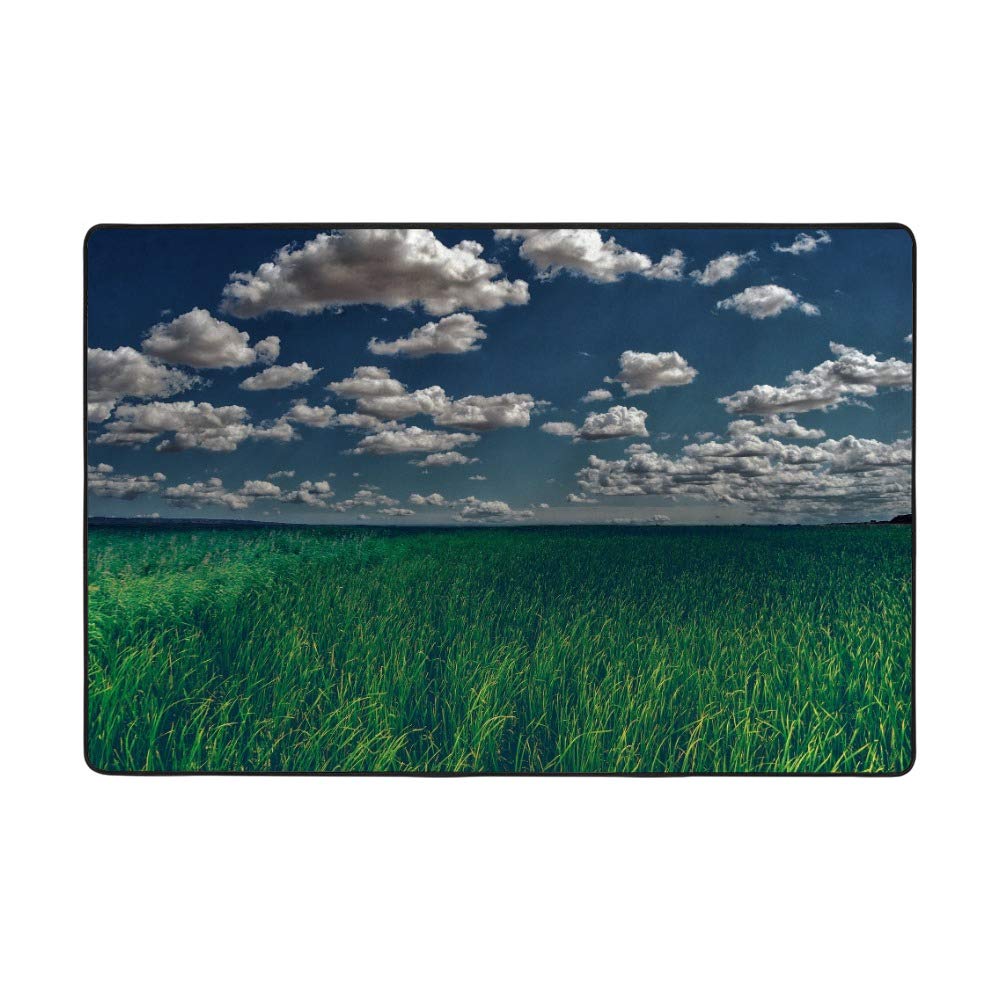 Tapis de salon vert Ruchen idéal pour créer un coin lecture cosy en velours