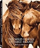 The Wild Horses of Sable Island (Photography)
