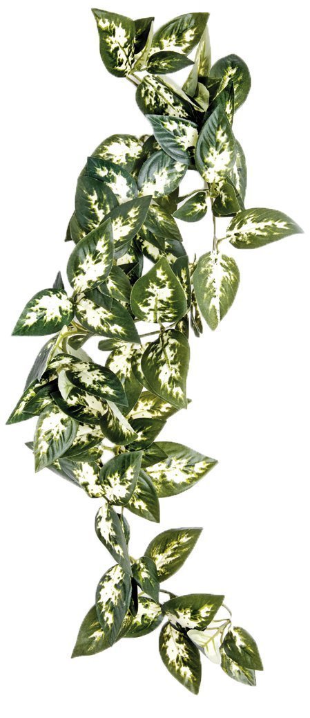 Komodo Borneo Hanging Vine, 40 cm, Red-665