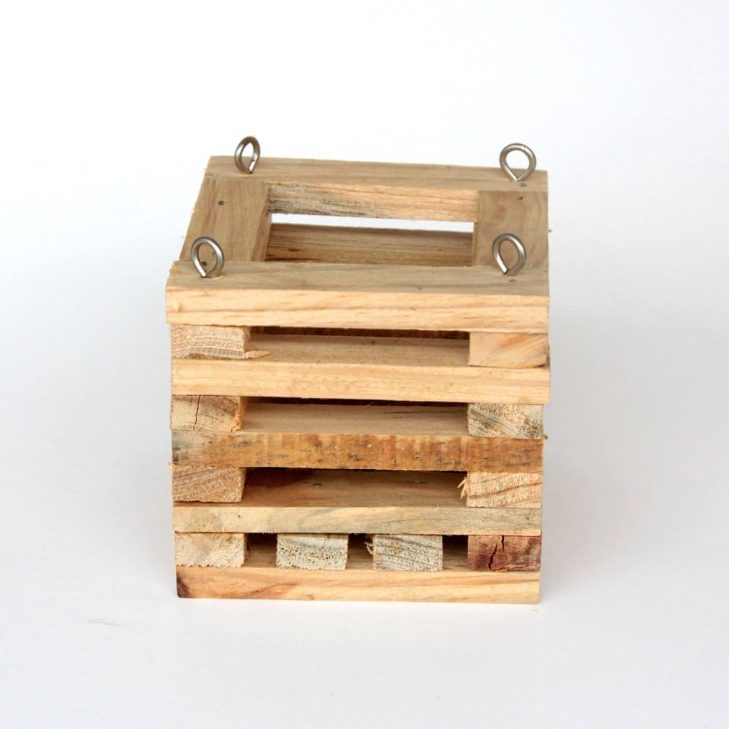 inch Square Wooden Hanging Orchid Basket by Orchids R Us, Inc.