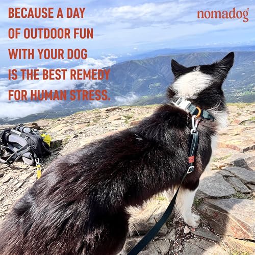 Nomadog Trailblazer Hundehalsband mit Griff für Große Hunde - Premium Aluminium Schnalle, Strapazierfähiges taktisches Halsband, Verstellbar, Gepolstert, Reflektierend (XL)