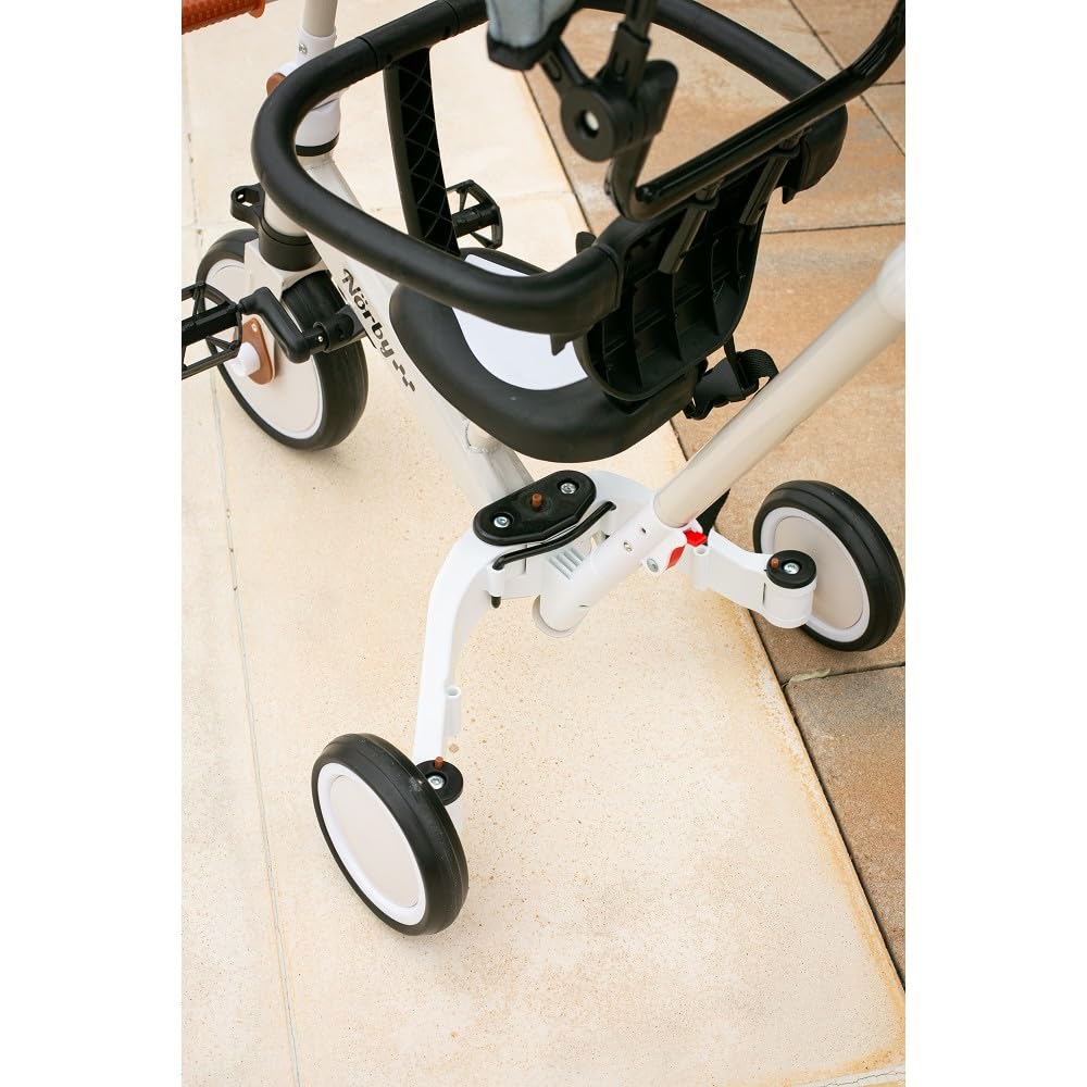 Interbaby Norby: 5 in 1 Dreirad und Laufrad mit Verdeck, 1 bis 5 Jahre