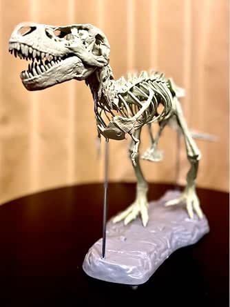 buildable dinosaur skeleton