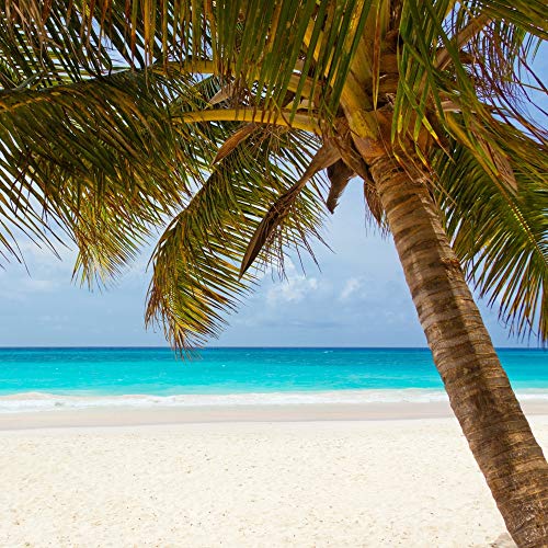 Music for Reading, Dormir Profundamente, Schlaflieder Für Kinder